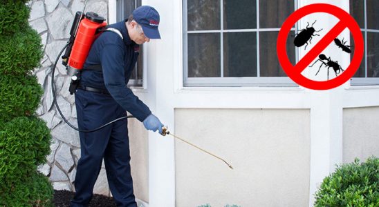 Milas Hamam Böceği İlaçlama böcek ilaçlama ve haşere kontrolü — ilaclama-tr.com